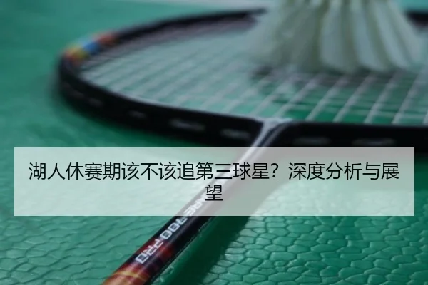 湖人休赛期该不该追第三球星？深度分析与展望